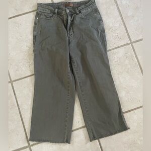 Judy Blue olive wide leg crop 14w